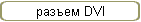  DVI